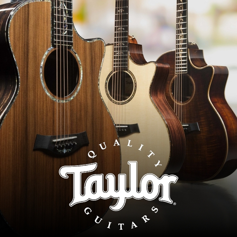 Taylor Guitars  Steilberg String Instruments