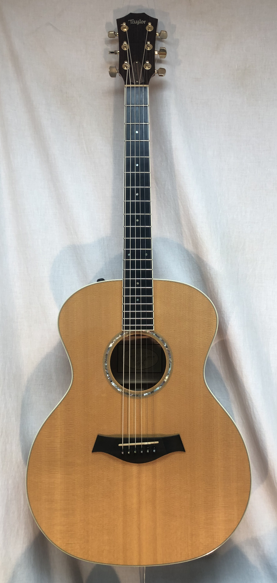 USED Taylor GA6e c.2013 w/ HSC